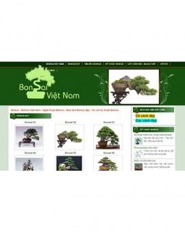 Bon sai Việt Nam - bonsaivietnam.com.vn