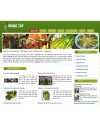 Măng tây - mangtay.com