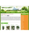 Siêu thị cây xanh - sieuthicayxanh.com